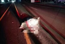 Muere hombre atropellado en Cuapiaxtla de Madero