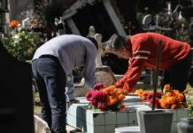 Vendedores de flores confían en buenas ventas por Día de Muertos