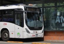 Línea 4 del RUTA iniciará con recorridos de prueba
