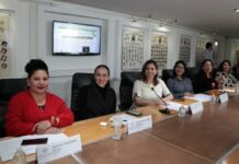 Define Comisión del Congreso entrega de medalla al mérito docente