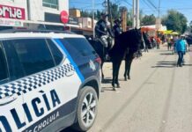 Reporta San Andrés Cholula saldo blanco en Festival Tecate Comuna