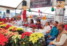Congreso impulsa temporada de flor de Nochebuena en Atlixco