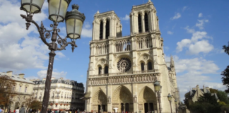 Catedral de Notre Dame reabrirá sus puertas en diciembre