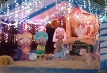 Abandonan cadáver desmembrado junto a nacimiento navideño en Chiautla