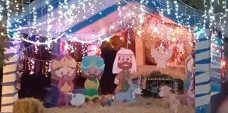 Abandonan cadáver desmembrado junto a nacimiento navideño en Chiautla