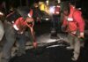 Cubren más de 2 mil 800 baches en Puebla