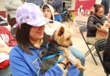 Ayuntamiento realiza Jornada de Bienestar Animal en Totimehuacan