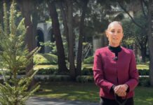 “Nos va a ir muy bien”: Sheinbaum desea un buen 2025 a los mexicanos