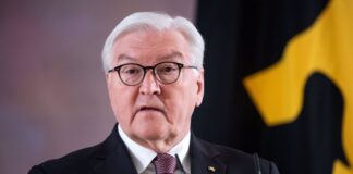 Presidente alemán disuelve el Parlamento y llama a elecciones