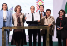 Universidad Rosario Castellanos será nacional: Sheinbaum