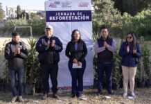 Lupita Cuautle encabeza jornada de reforestación en “El Molinito”