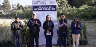 Lupita Cuautle encabeza jornada de reforestación en “El Molinito”