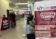 Suspenden trámites de pago del Predial hasta el 2 de enero