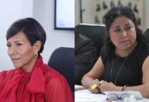 Comparecen titulares de SMADSOT y SDR en Comisiones del Congreso