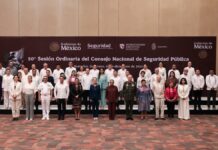 Céspedes asiste a sesión del Consejo Nacional de Seguridad Pública