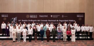 Céspedes asiste a sesión del Consejo Nacional de Seguridad Pública