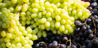 Precio promedio de uva verde en México es de $113: Profeco