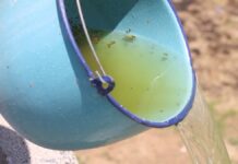 Salud reporta tres nuevos casos de dengue en Puebla