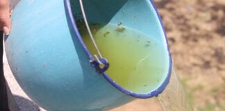 Salud reporta tres nuevos casos de dengue en Puebla