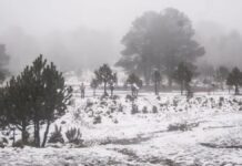 Cierran acceso al Nevado de Toluca por mal clima