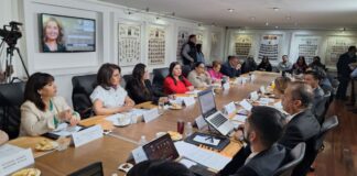 Comparecen ante Comisiones del Congreso, titulares de Educación y de Bienestar