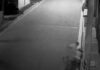Captan asalto armado a mujer en Zautla