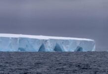 A23a, el iceberg más grande del mundo se desprende