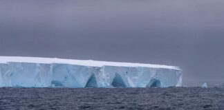 A23a, el iceberg más grande del mundo se desprende