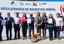 Cholula realiza Mega Jornada de Esterilización para mascotas