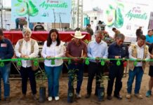 Atlixco celebra la 2da Feria del Aguacate