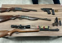 SSC detiene a seis personas con cinco armas de fuego