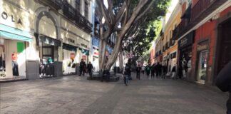 Vigilan que ambulantes no se instalen en la calle 5 de Mayo