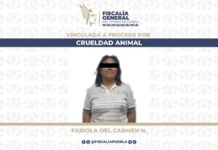 Dan prisión preventiva a mujer por agredir a perrito con un machete