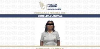 Dan prisión preventiva a mujer por agredir a perrito con un machete