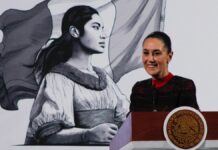 Disminuyen 15% los homicidios dolosos en México: Sheinbaum
