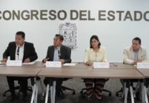 Avalan en Congreso exhorto para generar empleos para jóvenes vulnerables