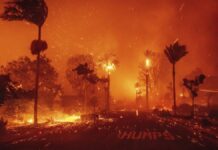 Suman 80 mil evacuados en Los Ángeles por incendios forestales