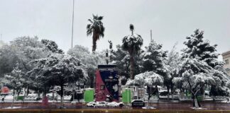 Chihuahua registra temperatura récord de -23 grados