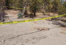 Aumentan a 33 los cuerpos hallados en fosas clandestinas de Chihuahua