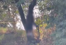 Hallan cadáver colgado de árbol en Xochimehuacan