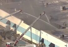 Mueren 579 animales por incendio en centro comercial de Texas
