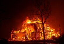 Advierten de aumento en rentas de Los Ángeles tras incendios