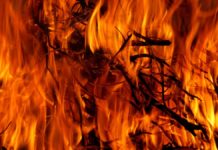 Habrá brigadistas para prevenir incendios forestales en Puebla