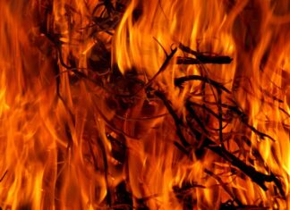 UNAM desarrolla sistema con IA para detectar incendios forestales en tiempo real