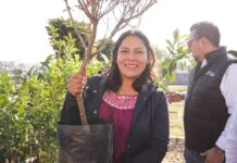 Lupita Cuautle Torres inicia la jornada Adopta un Árbol