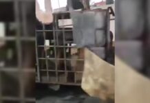 Remolque se incendia en la carretera Puebla-Tehuacán