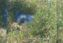 Embolsan y abandonan cadáver de mujer en Tlacuilotepec