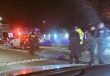Joven muere atropellado en Periférico-Ecológico