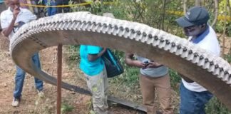 Cae media tonelada de basura espacial en aldea de Kenia