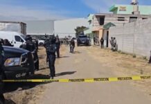 Decomisan autopartes robadas en operativo policial en Barranca Honda